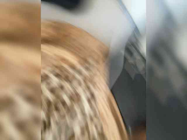 Kisa77771a webcam