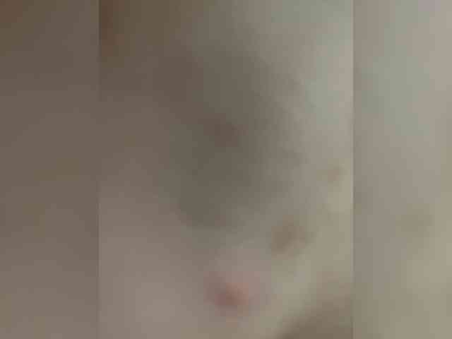 Kisa77771a webcam