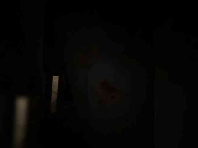 Kisa77771a webcam