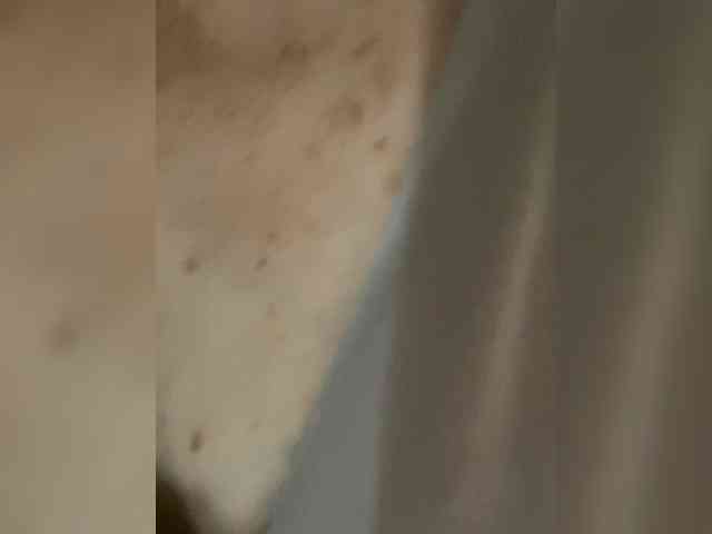 Kisa77771a webcam