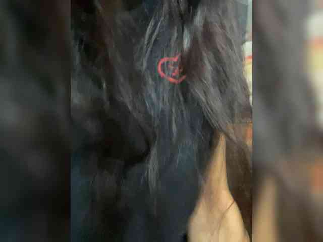 Kisa77771a webcam