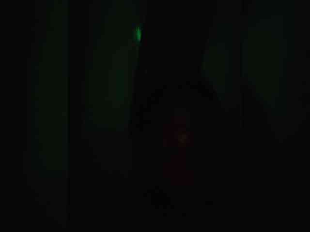 Sree444143
