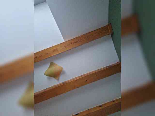 ritta8989 ritta8989