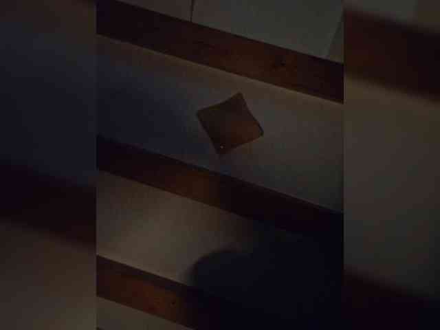 ritta8989 ritta8989