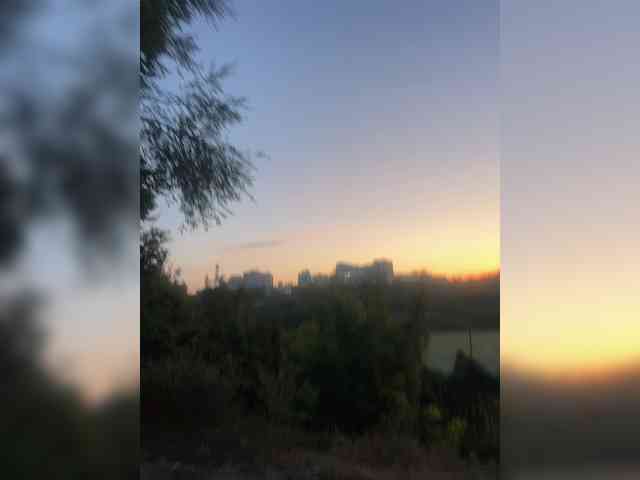 mefidufi