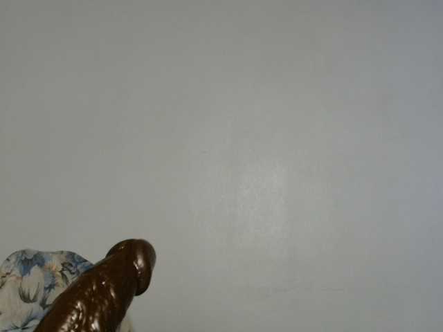Malia8891 live cam on BongaCams