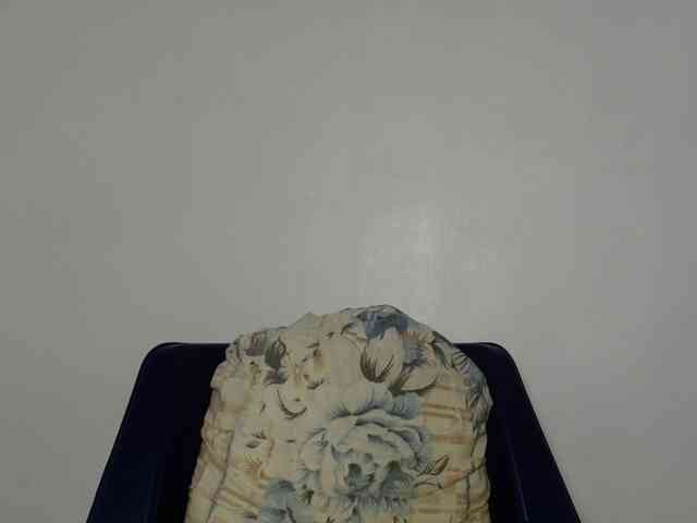 Malia8891 webcam