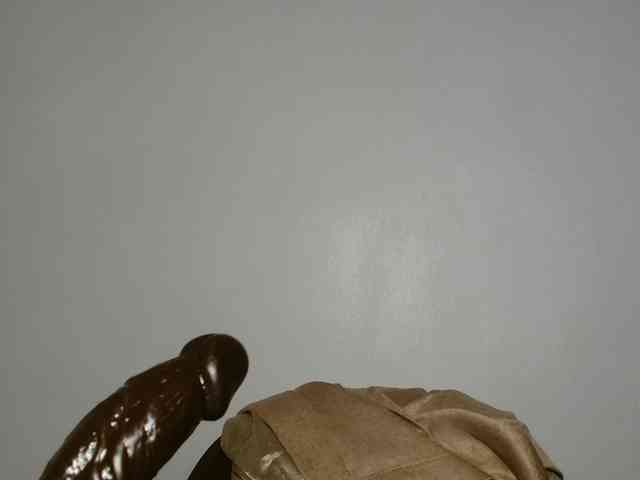 Malia8891 webcam