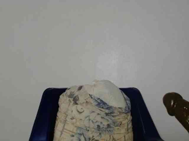 Malia8891 webcam