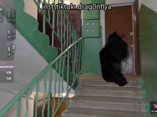 DragonFlya
