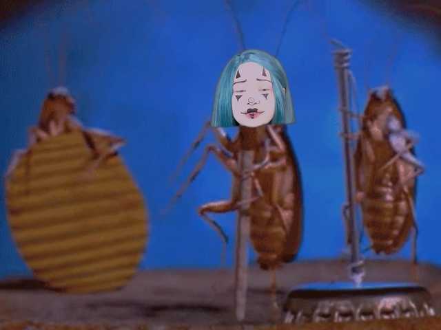 DragonFlya