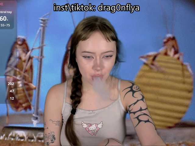 DragonFlya