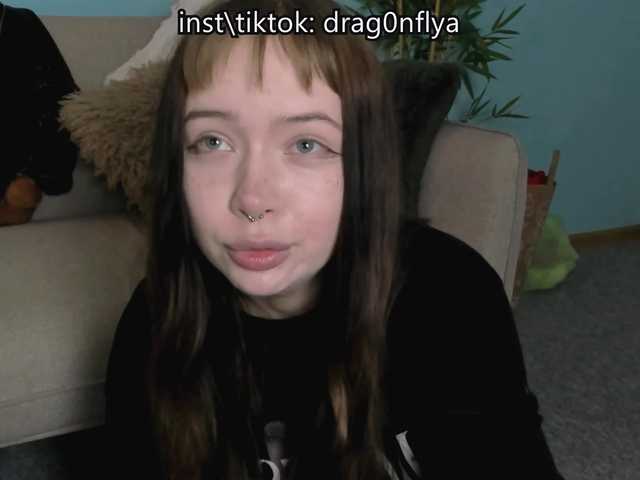 DragonFlya live cam