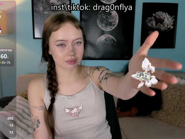DragonFlya