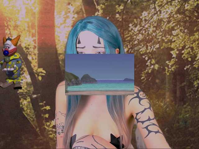 DragonFlya webcam