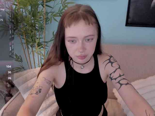 DragonFlya webcam