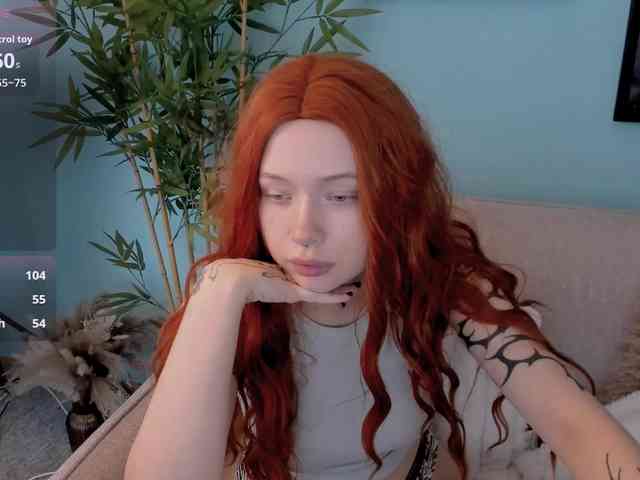 DragonFlya webcam