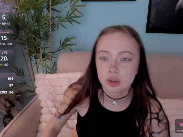 DragonFlya webcam