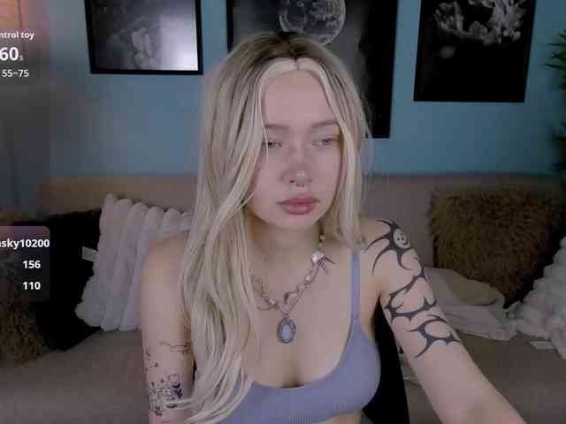 DragonFlya webcam