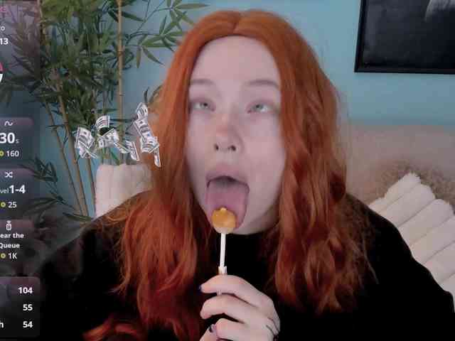 DragonFlya webcam