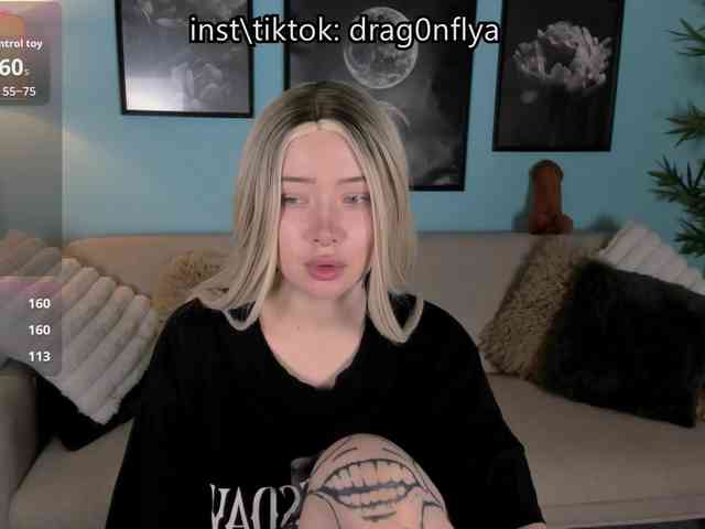 DragonFlya webcam