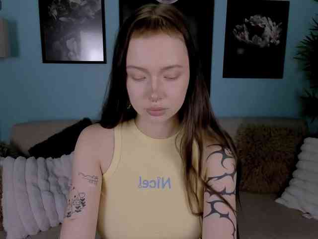 DragonFlya webcam