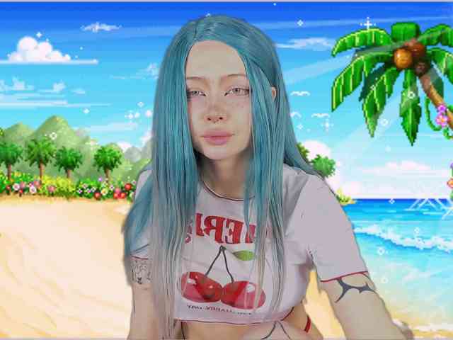 DragonFlya webcam