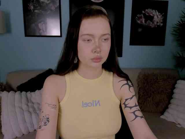 DragonFlya webcam