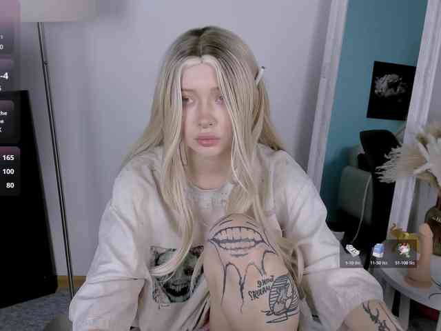 DragonFlya webcam