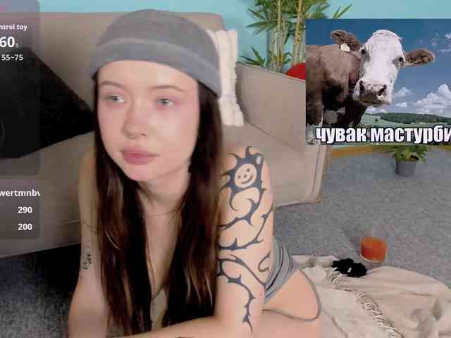 DragonFlya webcam
