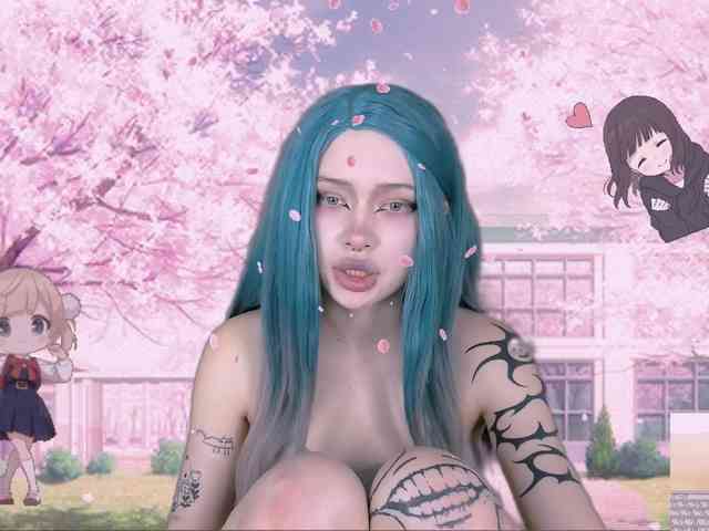 DragonFlya webcam