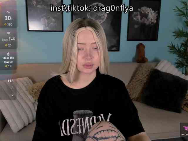 DragonFlya webcam