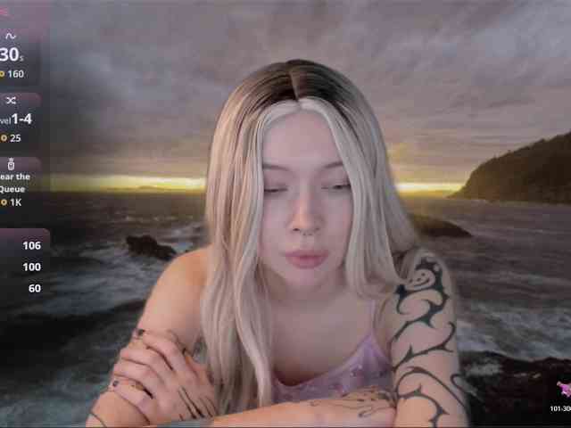 DragonFlya webcam