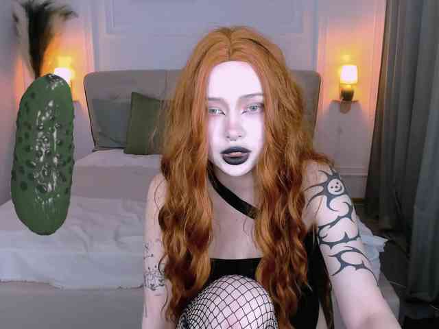 DragonFlya webcam