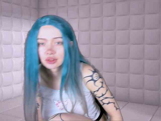 DragonFlya webcam