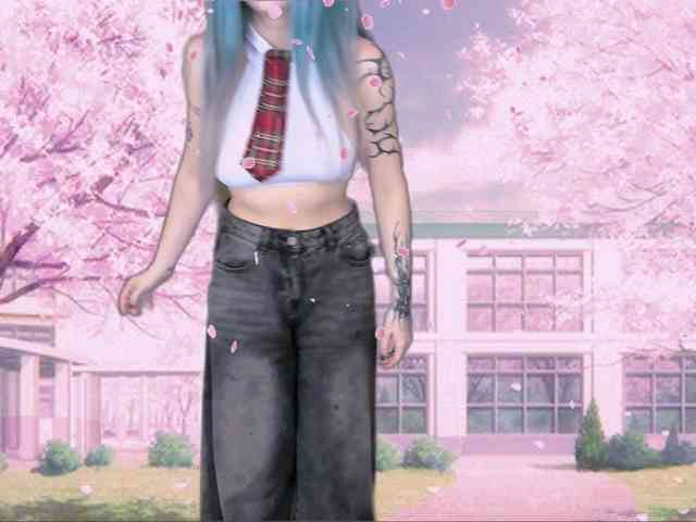 DragonFlya webcam