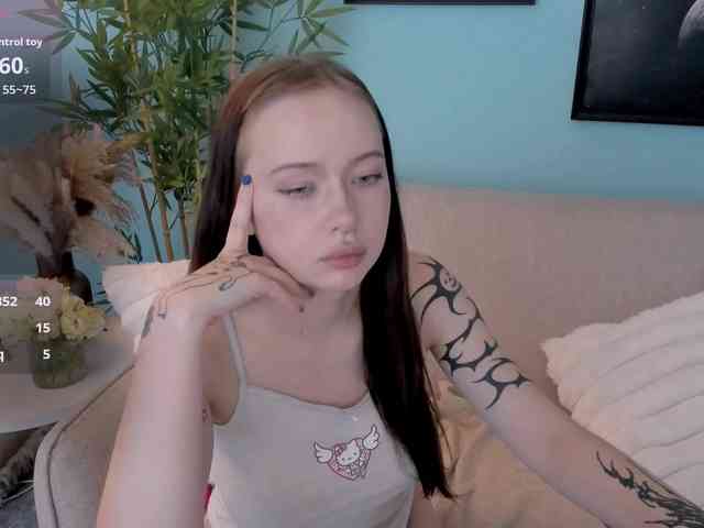 DragonFlya webcam