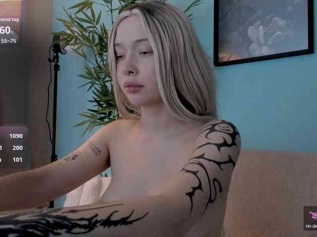 DragonFlya webcam