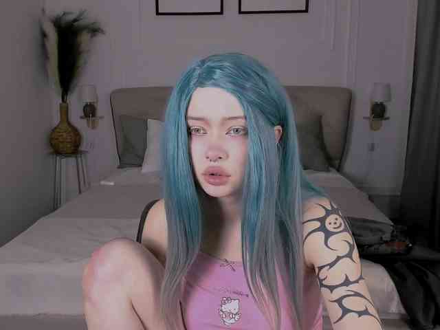 DragonFlya webcam