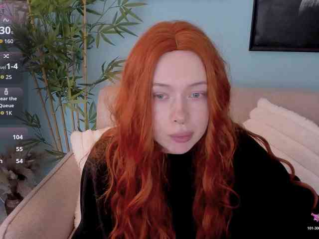 DragonFlya webcam