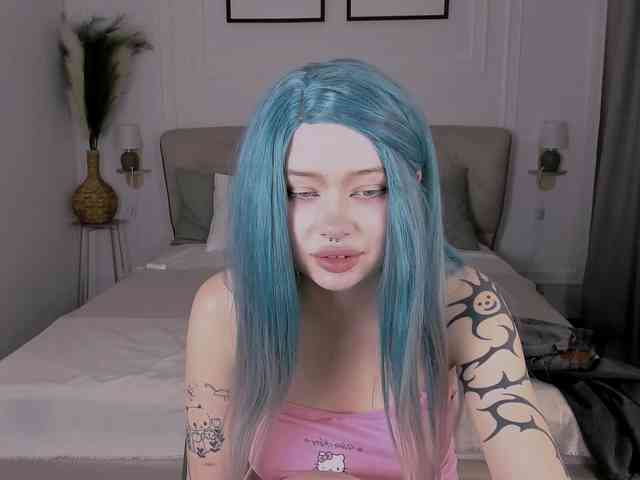 DragonFlya webcam