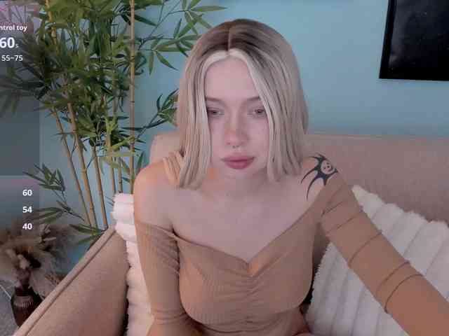 DragonFlya webcam