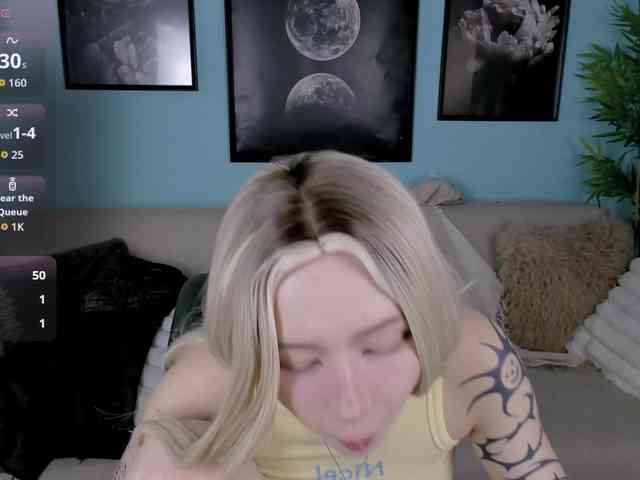 DragonFlya webcam