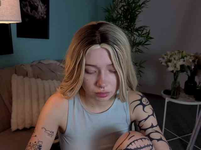 DragonFlya webcam