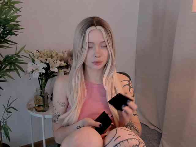 DragonFlya webcam
