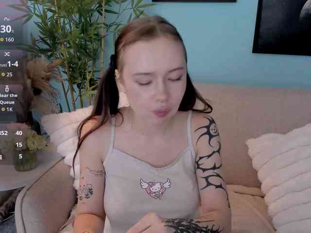 DragonFlya webcam