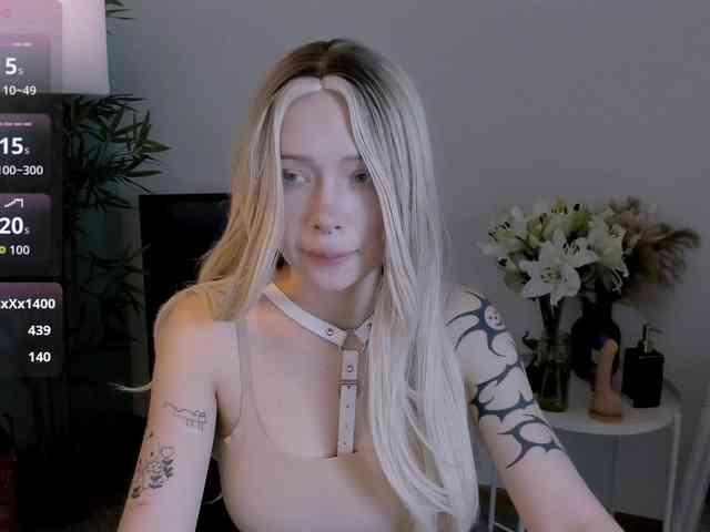 DragonFlya webcam