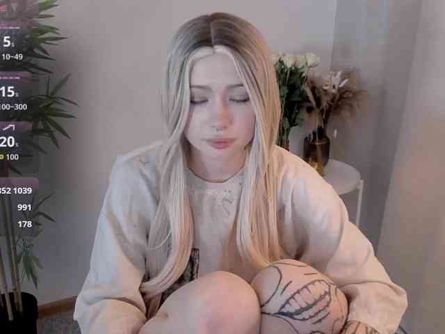 DragonFlya webcam