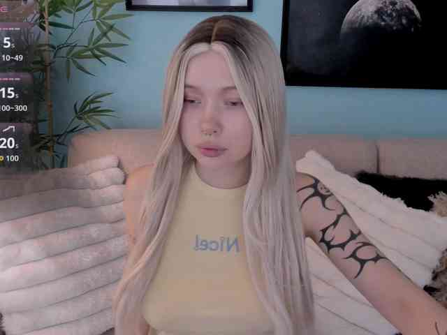 DragonFlya webcam