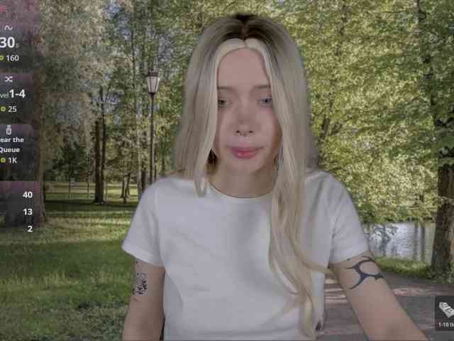 DragonFlya webcam